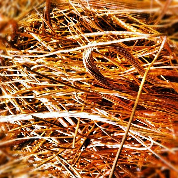 Copper Photograph - Twisted by Brian Harris