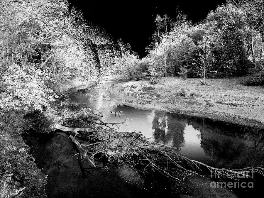 Twisted Creek BW Photograph by Sue Stefanowicz
