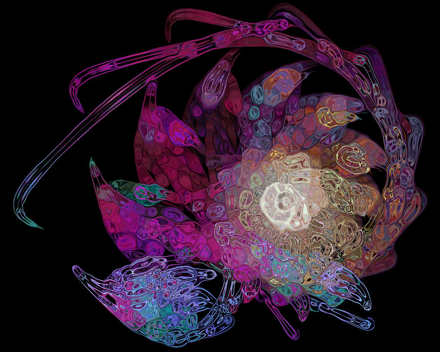 Twisted Crustacean Digital Art by Amanda Moore