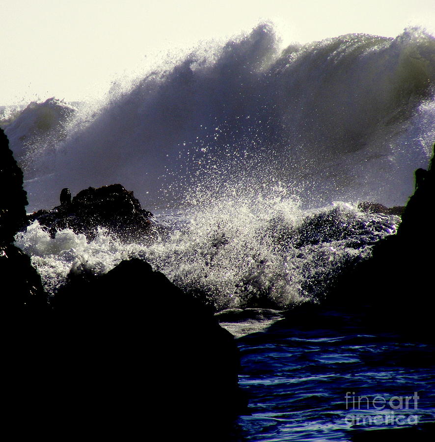 Wave Photograph - Twisted by Coastal Shooter Photography by Kathy Scott