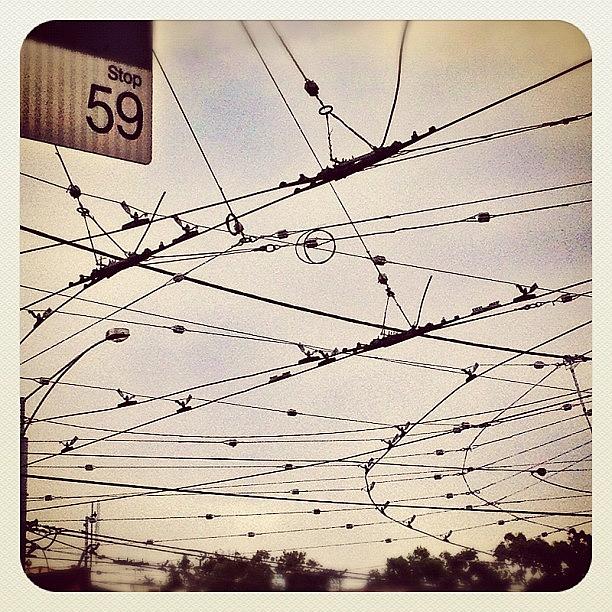 Cool Photograph - Twisted Tram Lines #electricalsky by Michael Rivero