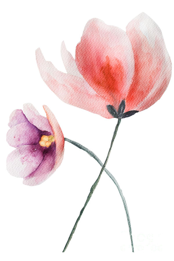 Two beautiful flowers Painting by Regina Jershova