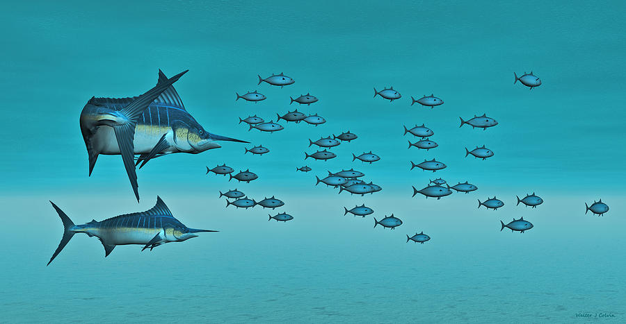 Two Blue Marlin Digital Art by Walter Colvin