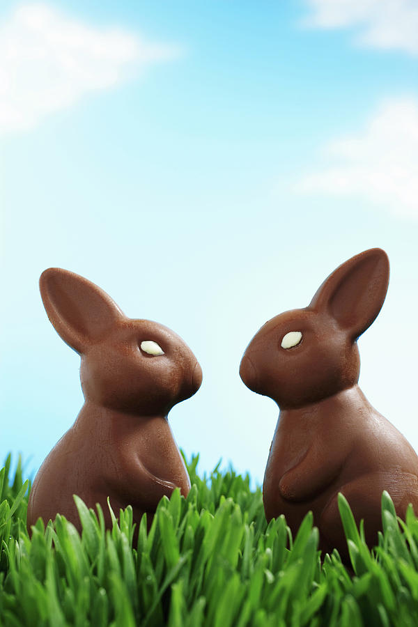 Two Chocolate Easter Bunnies Facing Each Other In Grass, Side View Photograph by Martin Poole