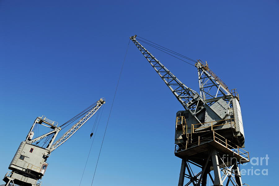 Crane Photograph - Two cranes at harbor by Sami Sarkis