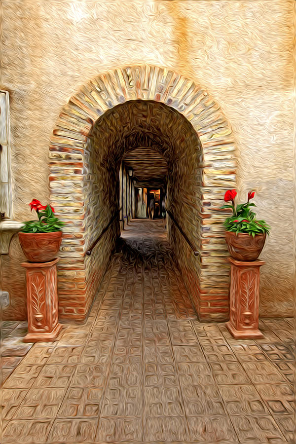 Two Flower Pots and a Archway Photograph by James Steele