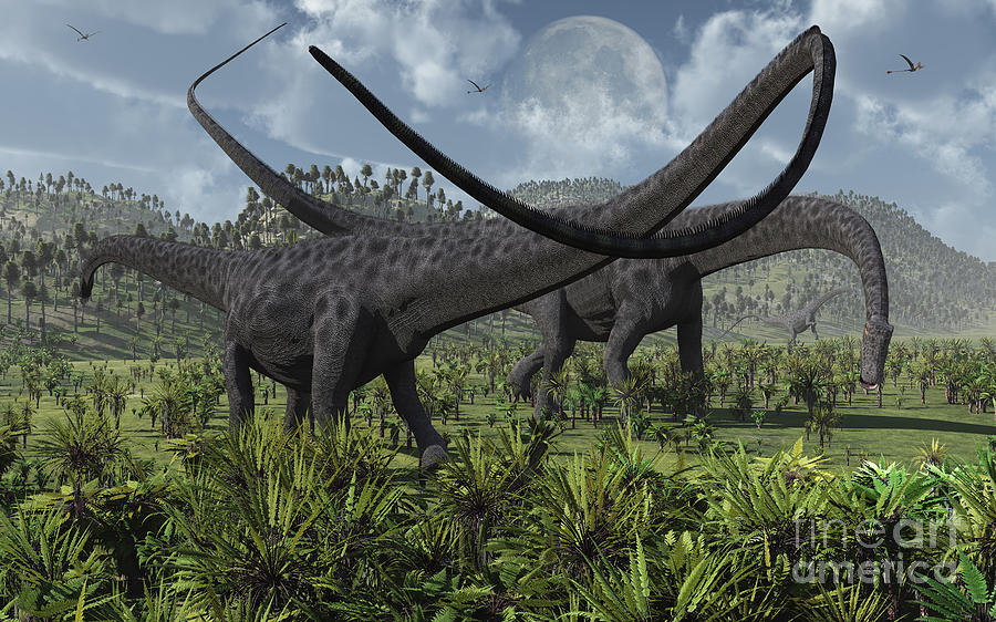 Two Giant Diplodocus Herbivore Digital Art
