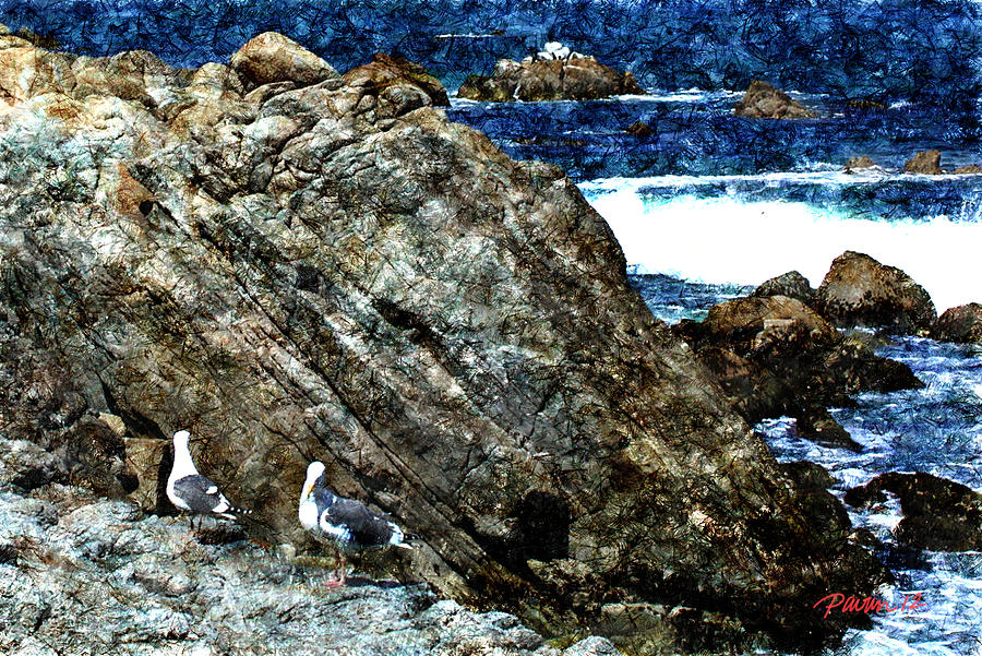 Two Gulls Pacific Grove CA Digital Art by Jim Pavelle