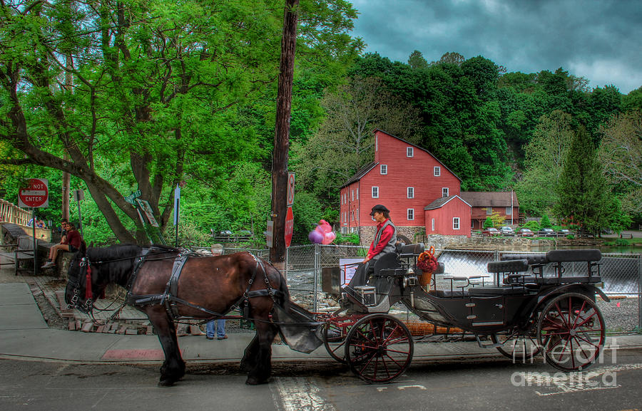 Two Horses and a Carriage  Photograph by Lee Dos Santos