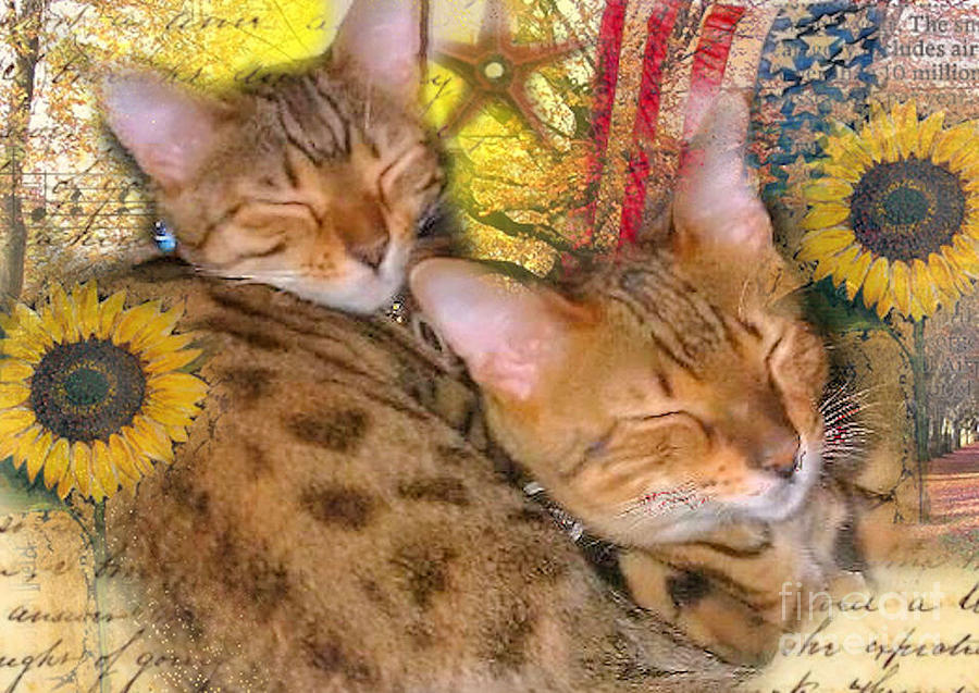 Two Kitties Sitting in a Tree Digital Art by Ruby Cross