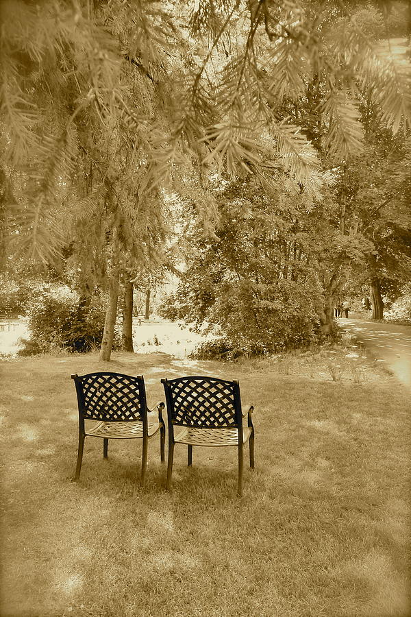 Tree Photograph - Two Lonely Chairs by Bruno Miranda