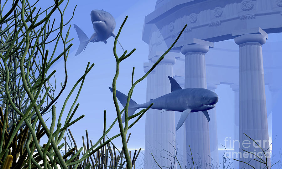 Greek Digital Art - Two Mako Sharks Swim By An Underwater by Corey Ford
