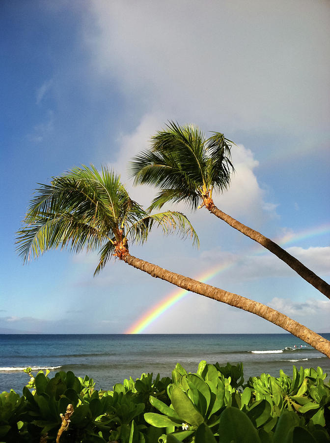 Two Palm Trees On Beach And Rainbow Over Sea Photograph by Robert James