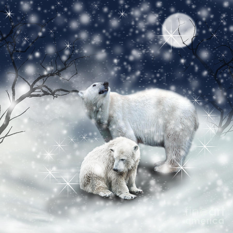 Polar Bears In The Snow Photograph by Ethiriel Photography