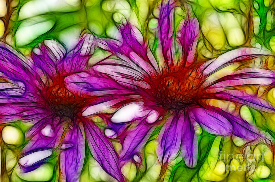 Two Purple Daisys Fractal Photograph by Donna Greene