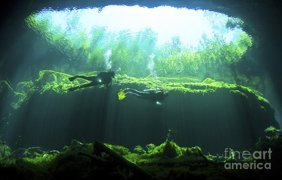 Nature Photograph - Two Scuba Divers In The Cenote System by Karen Doody