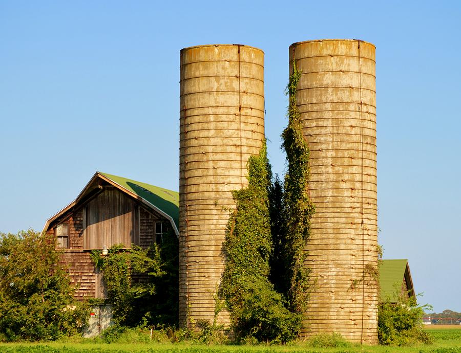 Two Silos Photograph by Billy Beck