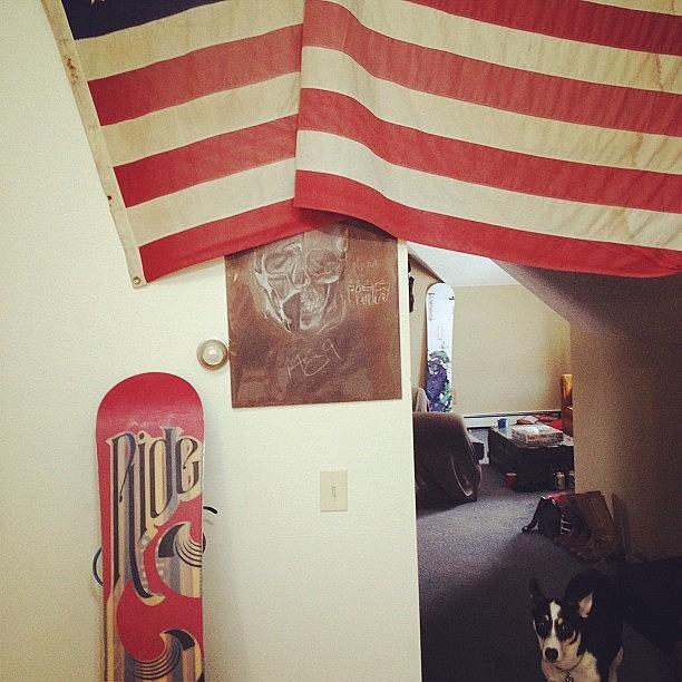 Two Snowboards. A Dog. A Skull, And Old Photograph by Chris Davis