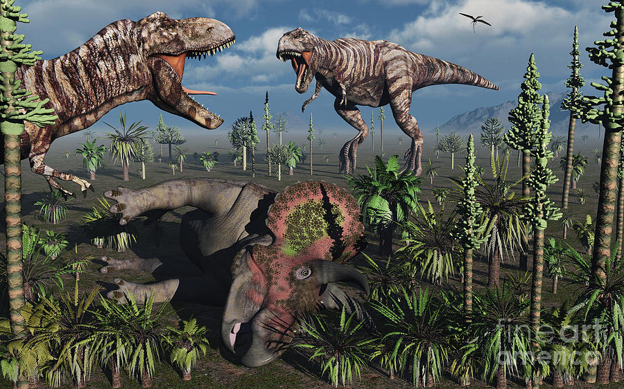 Two T. Rex Dinosaurs Confront Each Digital Art by Mark Stevenson - Fine ...