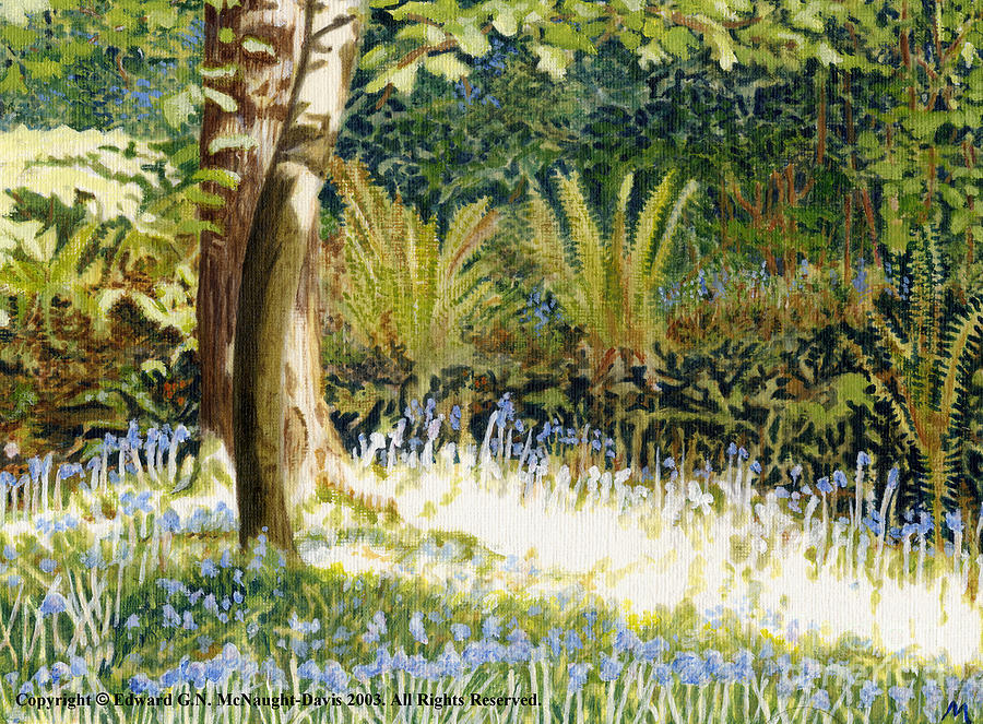 Sunlit Bluebells Llanina Ceredigion Painting by Edward McNaught-Davis
