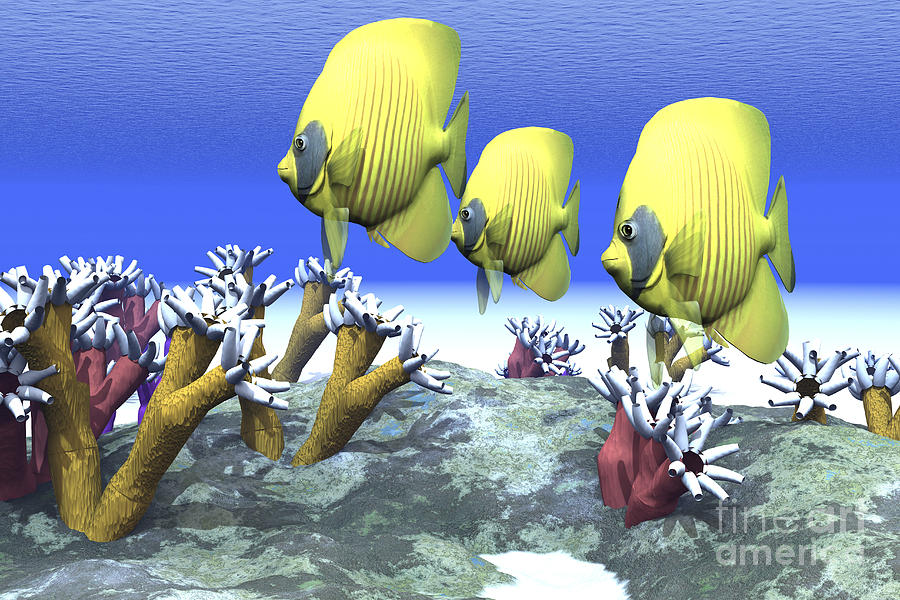 Fish Digital Art - Two Yellow Butterflyfish Swim Among by Corey Ford