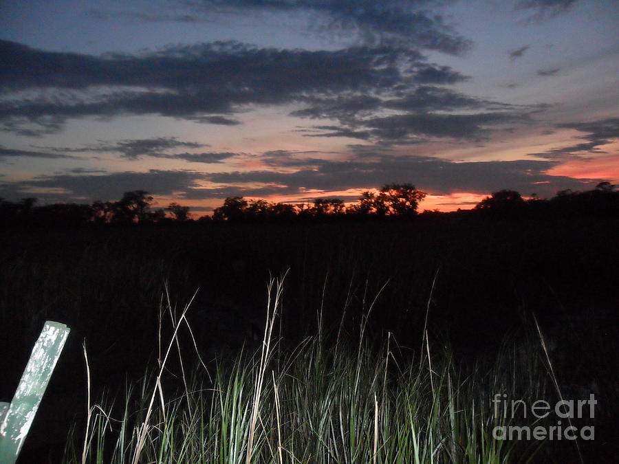 Tybee Sunset over Marsh Painting by Doris Blessington