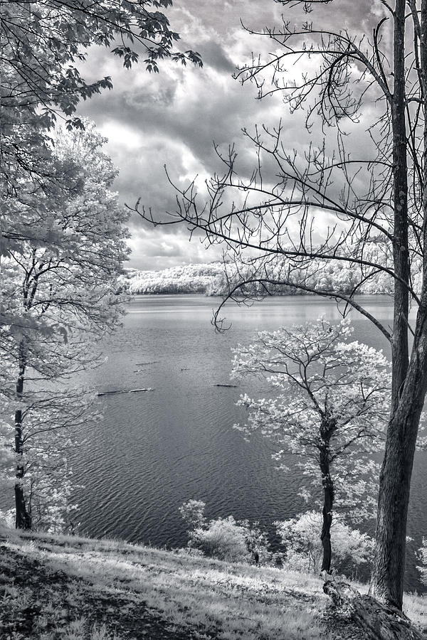 Black And White Photograph - Tygart Lake by Mary Almond