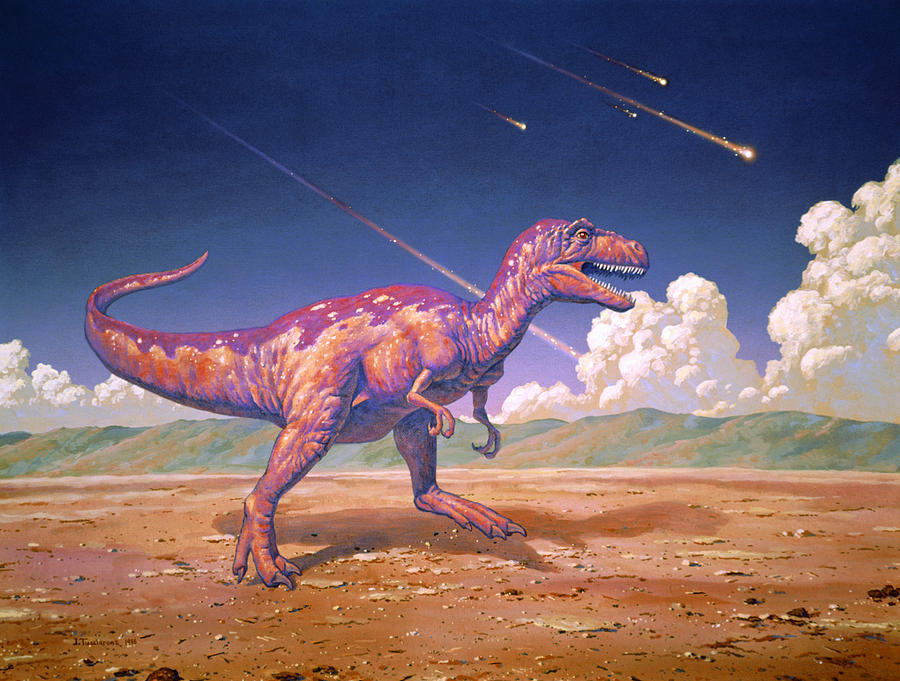 Tyrannosaurus Rex With Meteorites Photograph by Joe Tucciarone - Fine ...