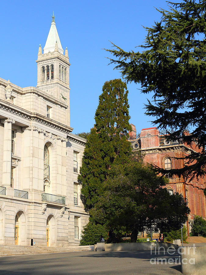 Uc Berkeley Sather Tower Campanile Wheeler Hall South Hall Built D Photograph