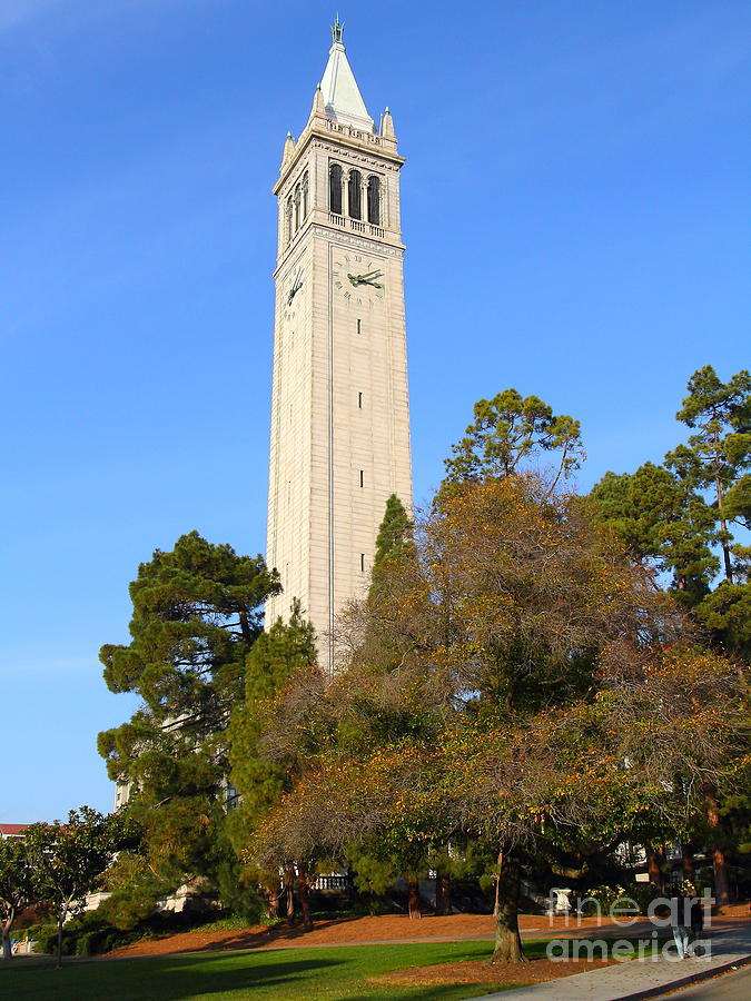 UC Berkeley . Sather Tower . The Campanile . Clock Tower . 7D10097 Photograph by Wingsdomain Art and Photography