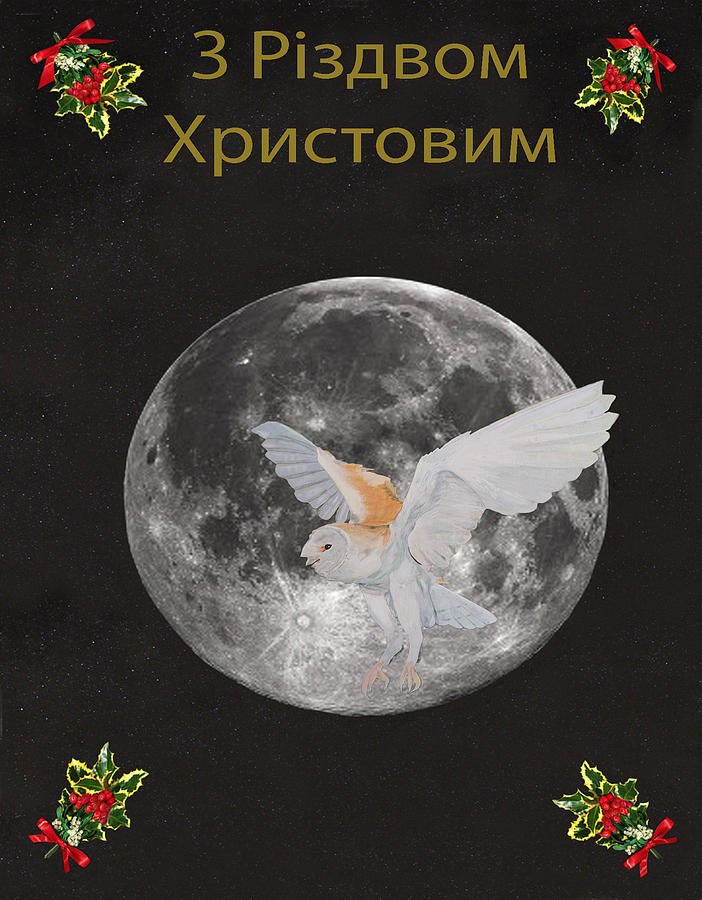 Owl Mixed Media - Ukrainian Barn owl Merry Christmas by Eric Kempson