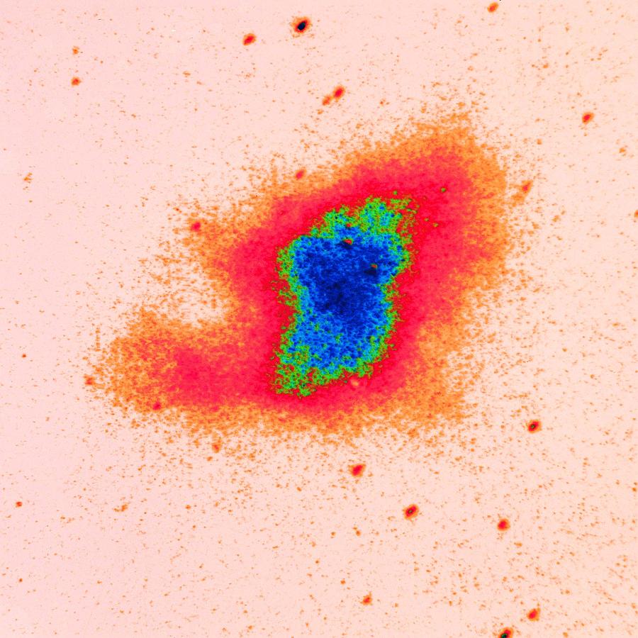 Ultraviolet Image Of The Crab Nebula Supernova Remnant Photograph by Digital Vision.