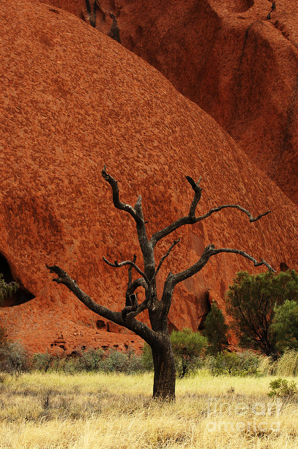 Uluru Australia 9 Photograph by Bob Christopher