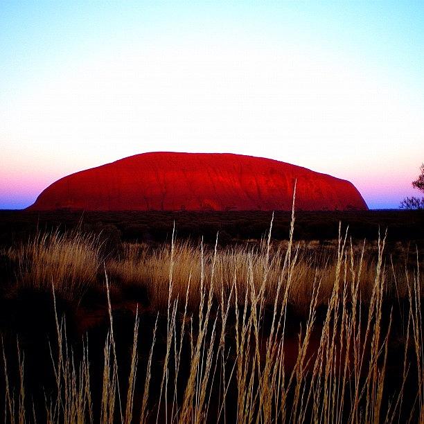 Nature Photograph - Uluru by Nicole Spillane