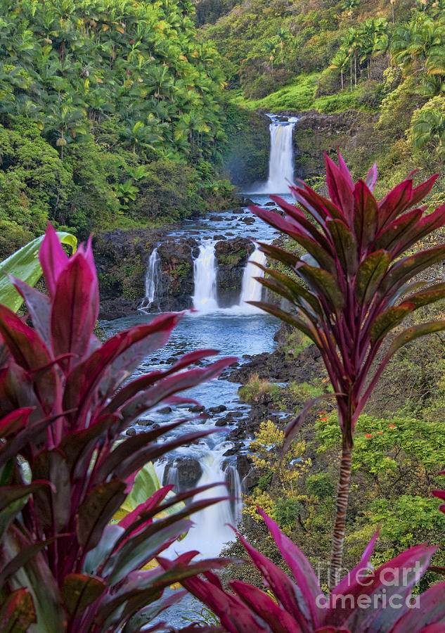 Umauma Falls Big Island Hawaii Photograph by Gary Beeler