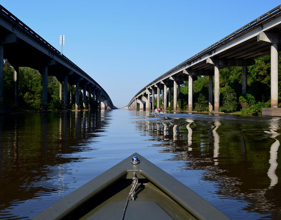 Under the Interstate Atchafalaya Basin  Southern Louisiana Photograph by Maggy Marsh
