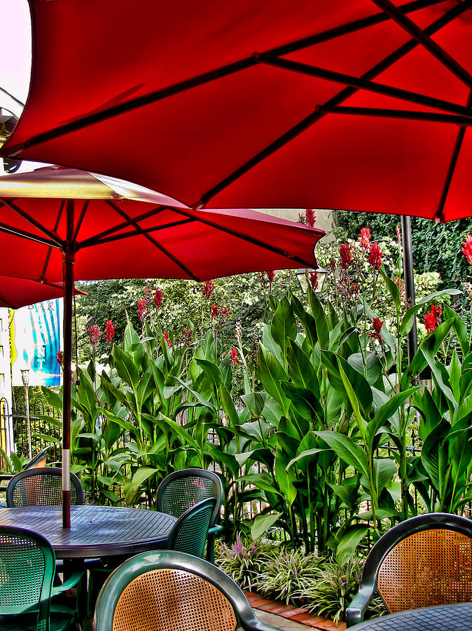 Under the Red Umbrella Photograph by Colleen Kammerer
