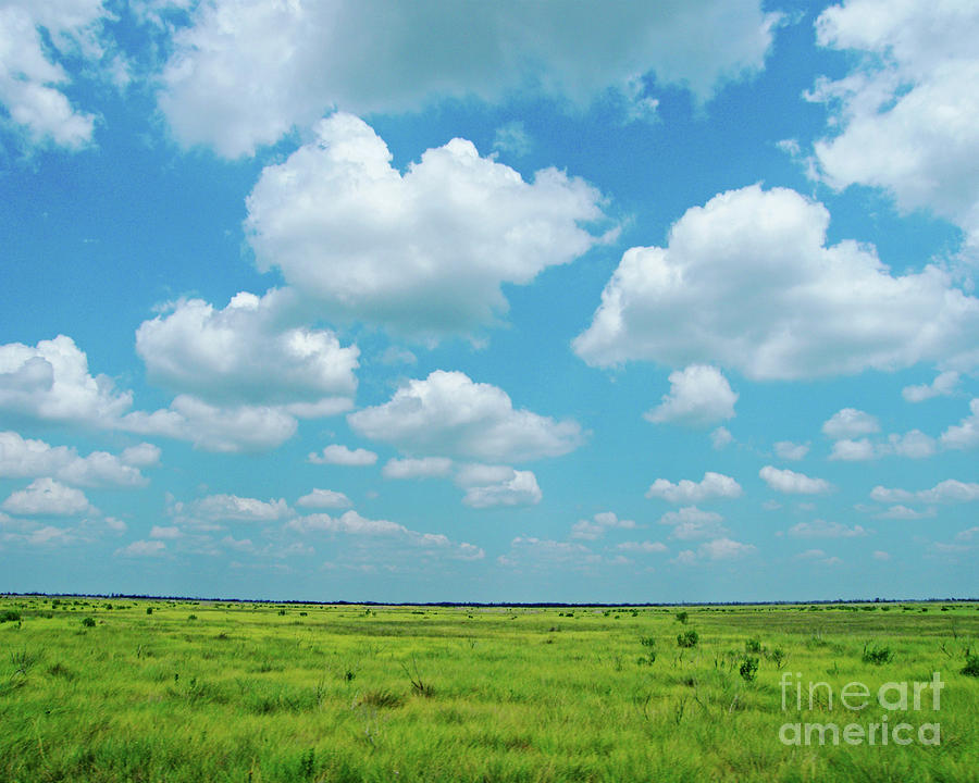 Sky Photograph - Under the Texas Sky by Lizi Beard-Ward