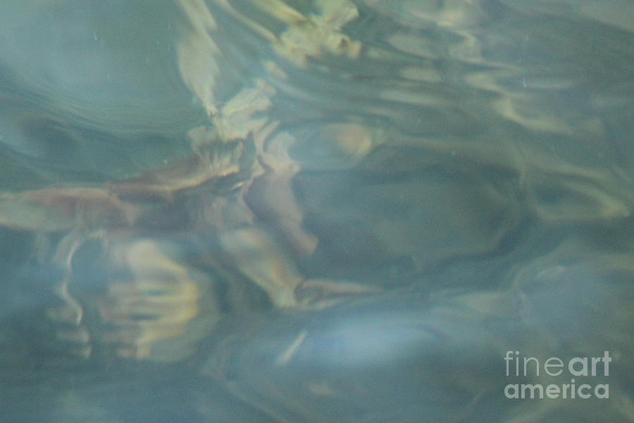 Underwater Abstract Photograph by Margaret Hamilton
