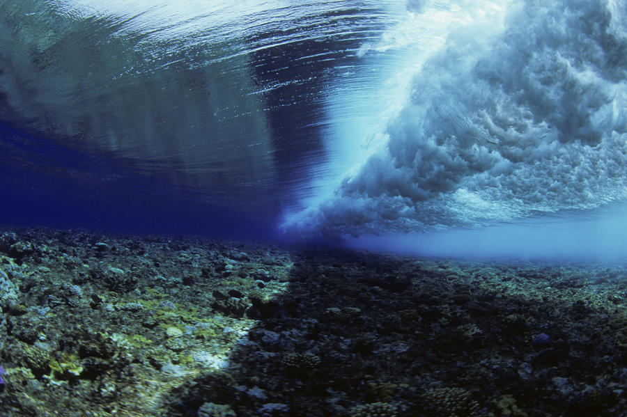 Underwater Wave - Yap by Dave Fleetham - Printscapes