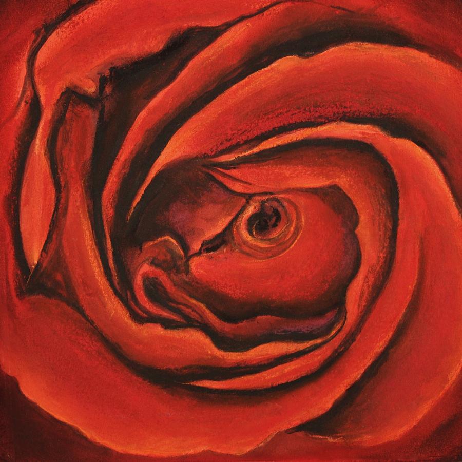 Nature Pastel - Unfurling Rose by Hugh Williamson