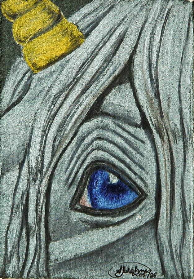 Unicorn Drawing - Unicorn Eye by Twyla Wehnes