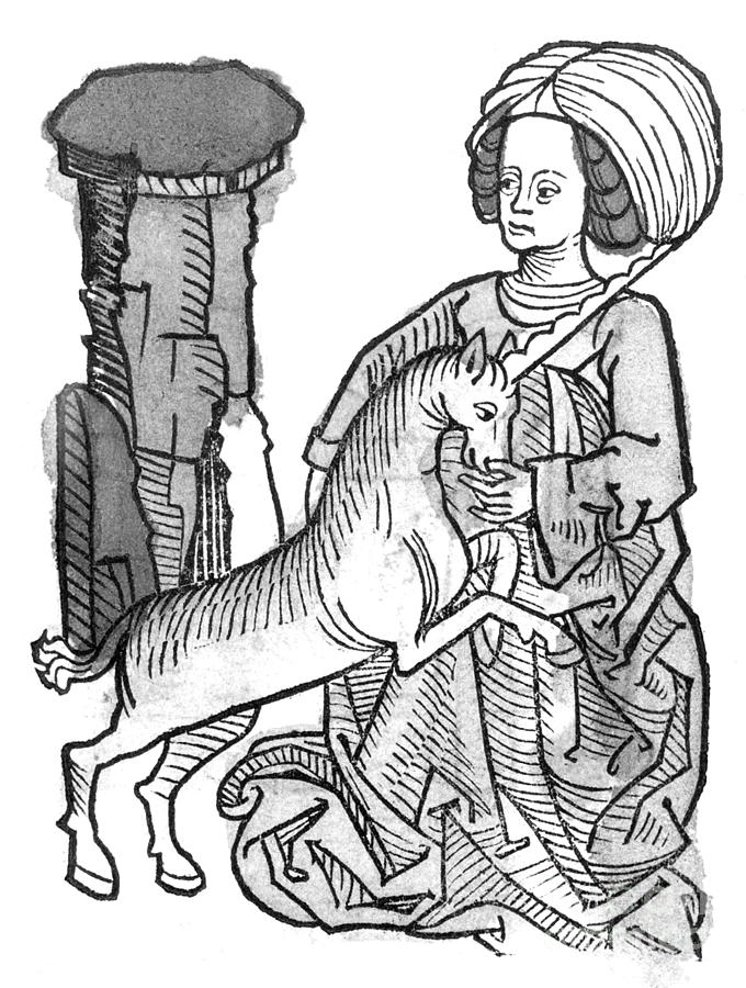 Unicorn Photograph - Unicornus Varius, 1491 by Photo Researchers