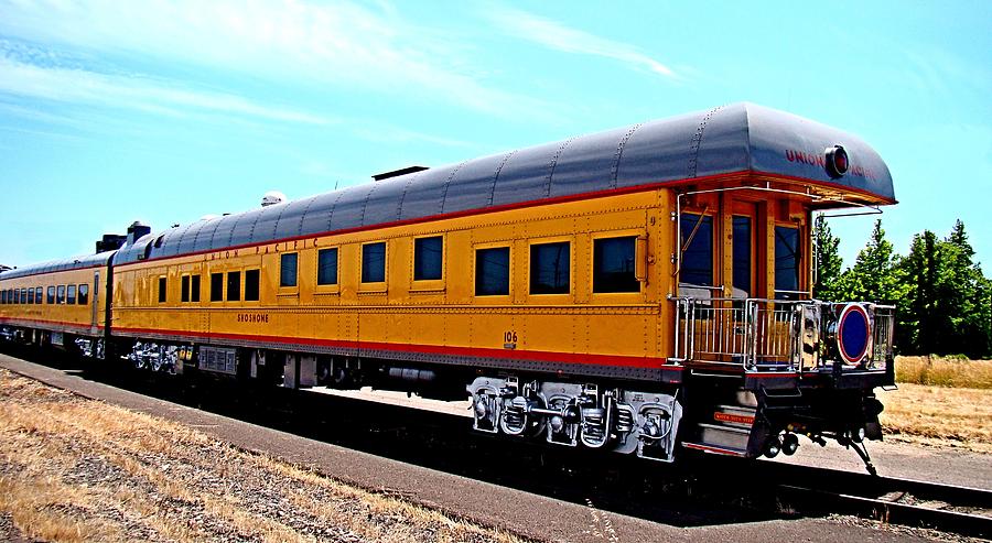 Union Pacific Observation Car Photograph by Nick Kloepping