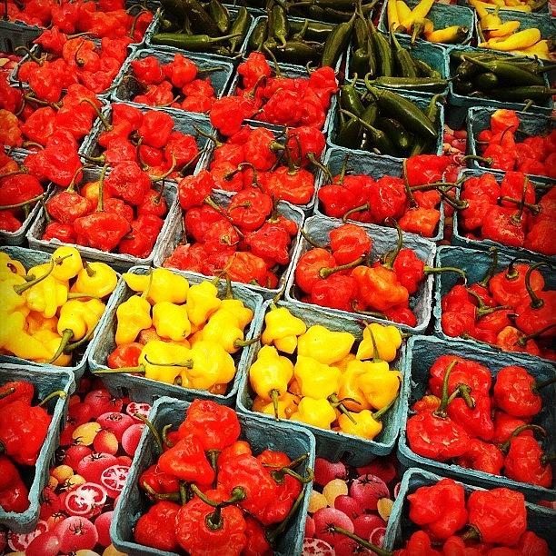 Union Sq Farmers Market- Hot Peppers! Photograph by Jordan Ferrante