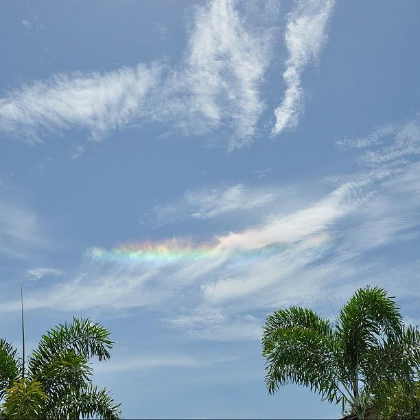 Unique Rainbow Photograph by Susan Denne