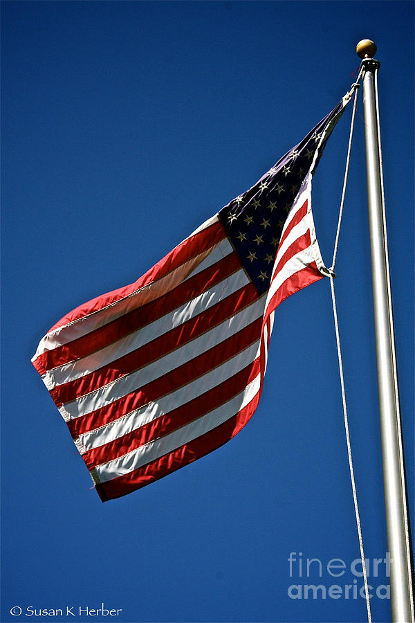 United States Flag Photograph by Susan Herber