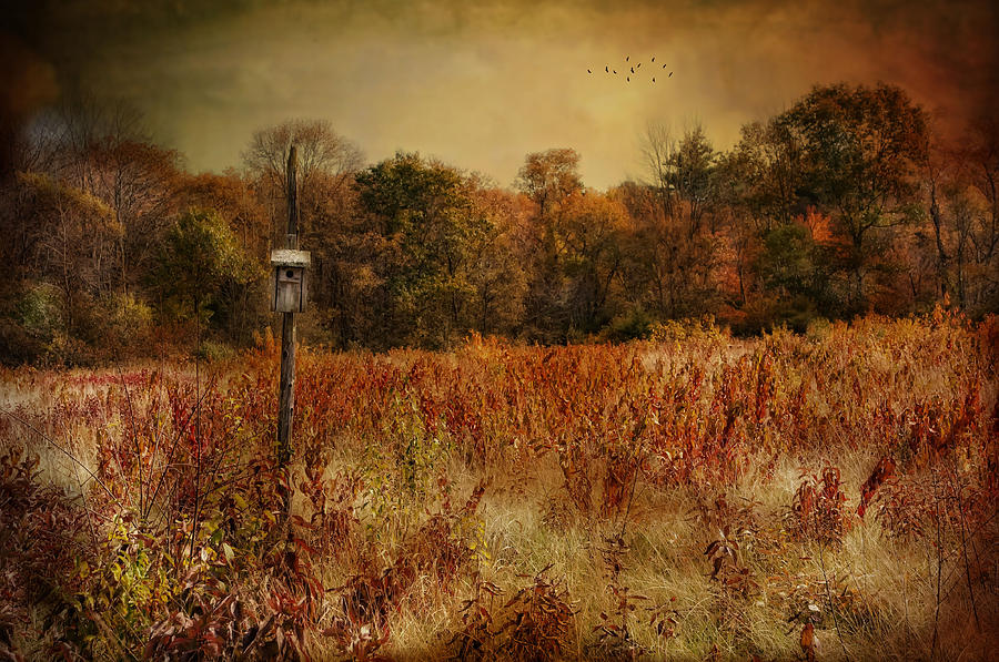 Fall Photograph - Until Spring by Robin-Lee Vieira