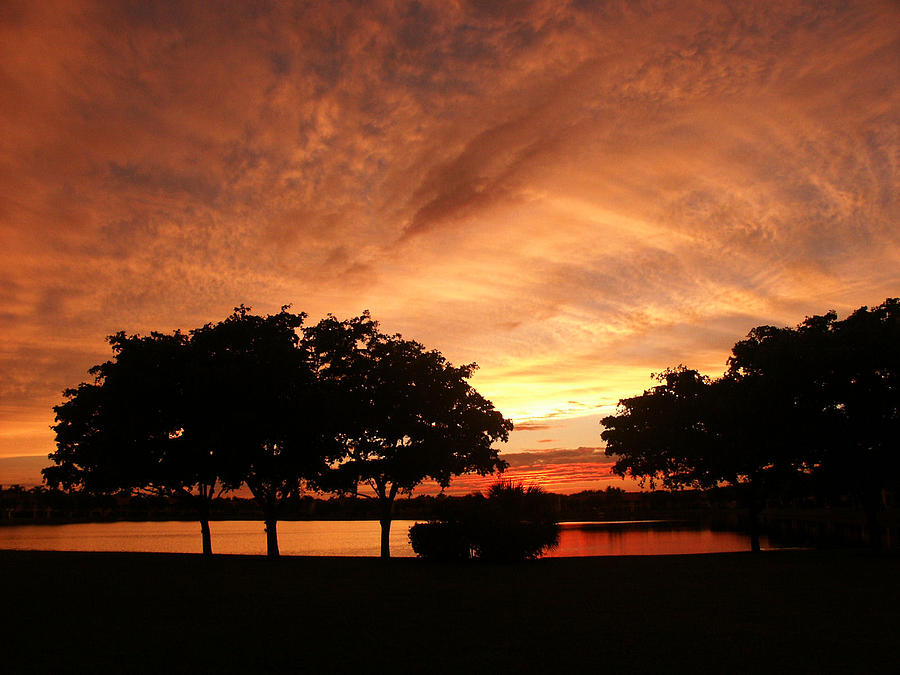 Florida Sunset Photograph - Untitled Sunset-19 by Bill Lucas