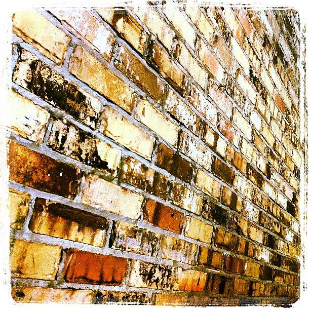 Brick Photograph - Up Against A #brickwall by James Roberts